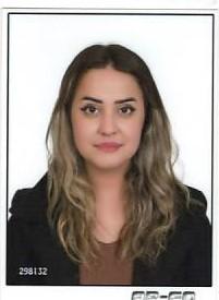 MEDYA MERMİT