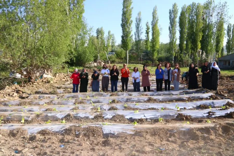 KADIN KENT BOSTANI'NDA İLK FİDELER TOPRAKLA BULUŞTU