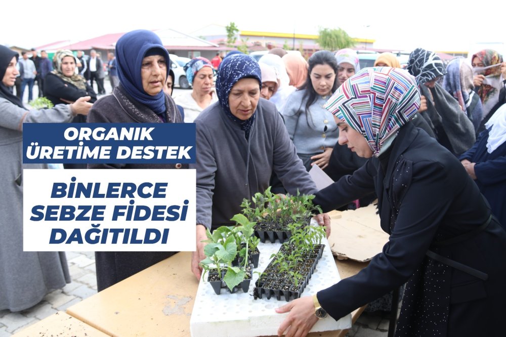 Belediyemizden Ücretsiz Sebze Fidesi Desteği