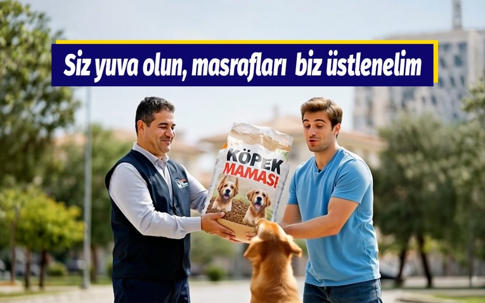 Sahipsiz hayvanlar için ‘Bir Can, Bir Yuva’ Projesi’