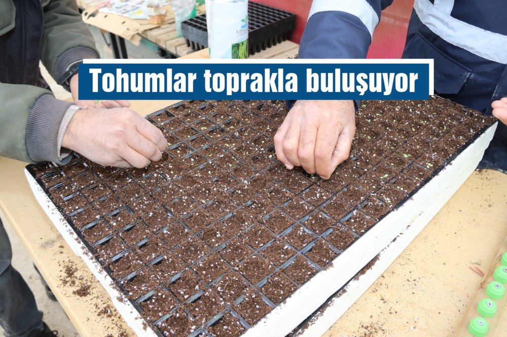 Yüzlerce tohumu toprakla buluşturuyoruz